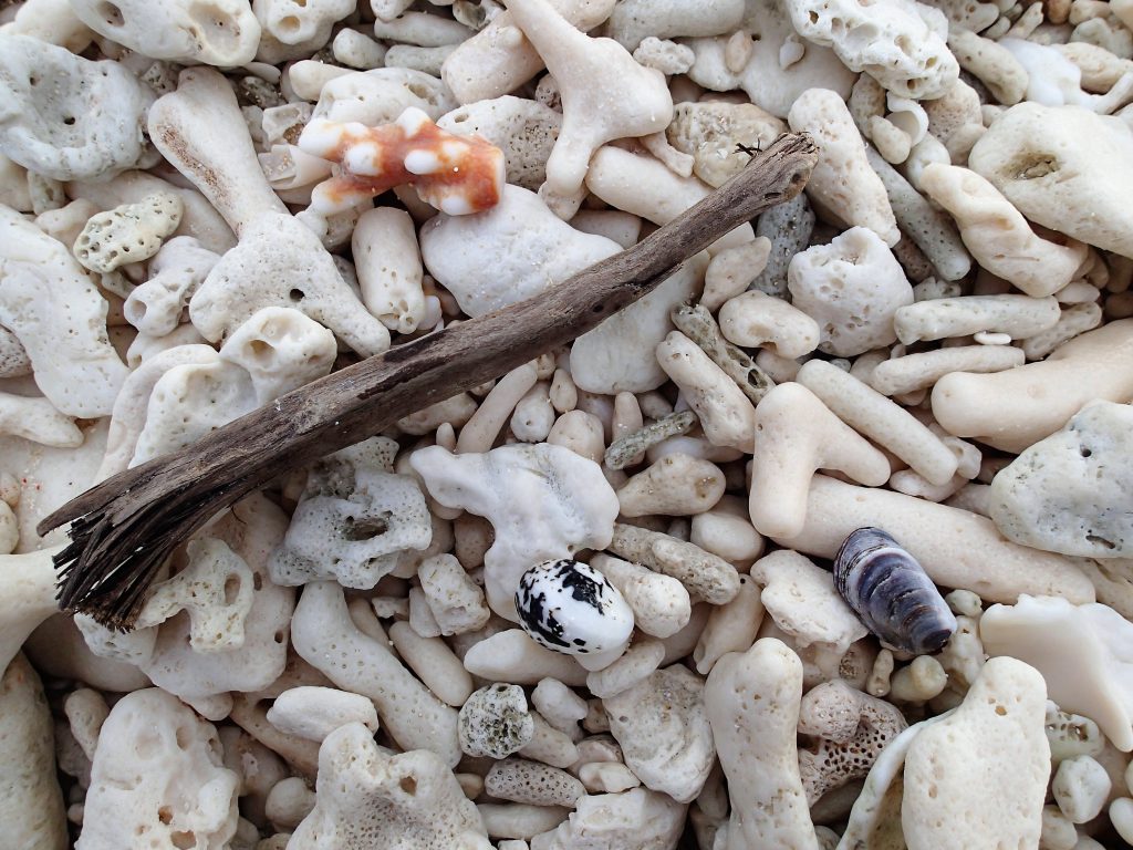 There is no sand on the beaches at Lady Musgrave. The beaches are covered in these tiny pieces of coral. We had to wear sandals all the time as some of it is quite sharp.