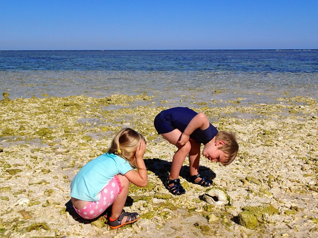 Little researchers inspecting an empty clam shell.