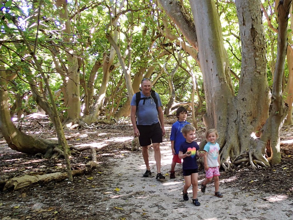 Time for a walk. So nice and cool in the shade.